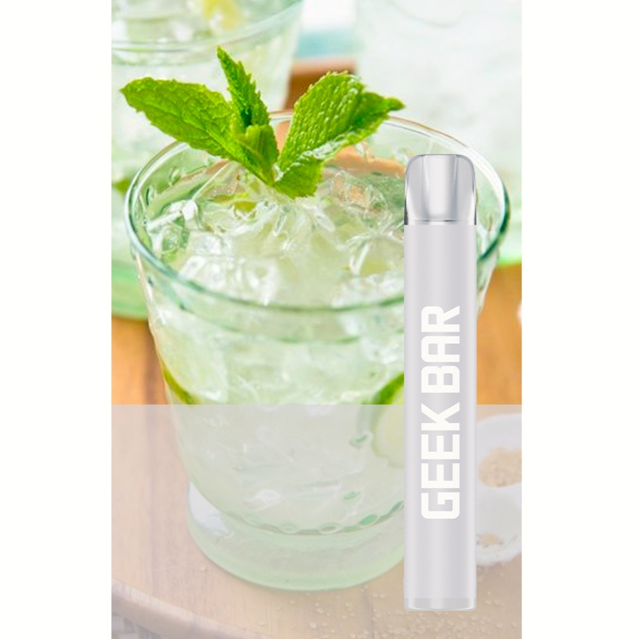 Geek Bar E600 Disposable Vape - menta proaspătă: O experiență de vapare revigorantă perfect adaptată pieței din România