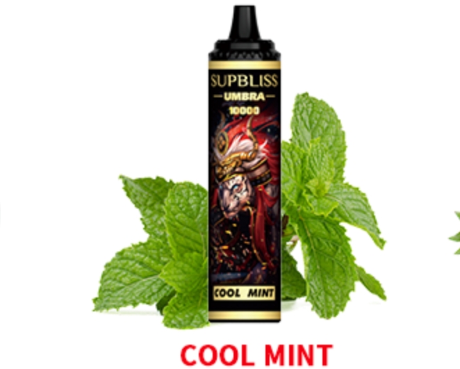 Fumot Supbliss Umbra 10000 Puffs Vape - menta rece：Prospețime și performanță pentru 2025